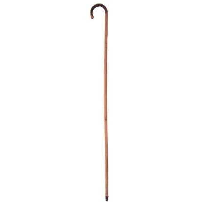 Bamboo Cane