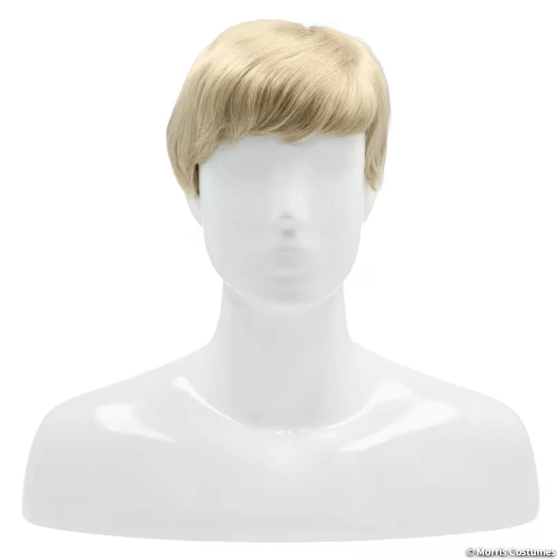Deluxe Men's Wig - Image 3