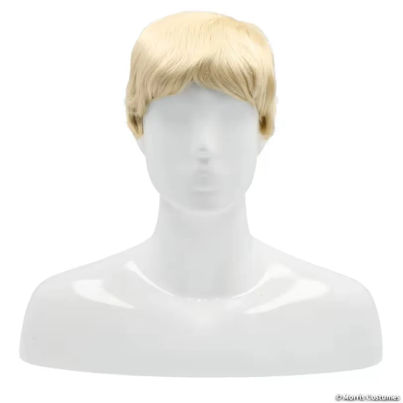 Deluxe Men's Wig - Image 6