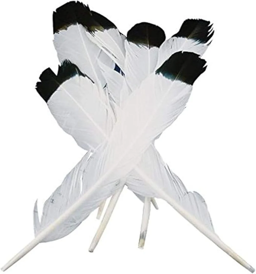 Eagle Quill