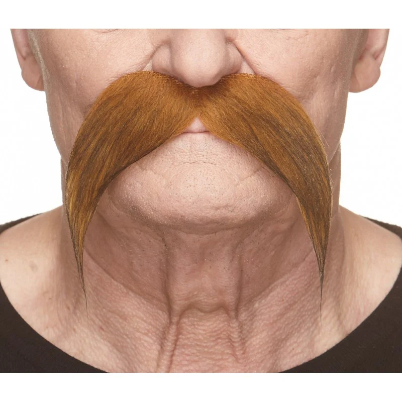 Kung Fu Master Mustache - Image 3