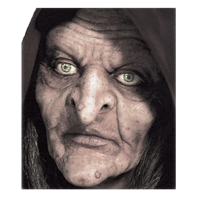 Swamp Witch Full Face Prosthetic