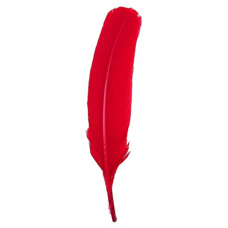 Turkey Quill Feather - Image 3