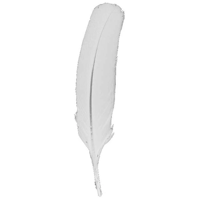 Turkey Quill Feather - Image 4
