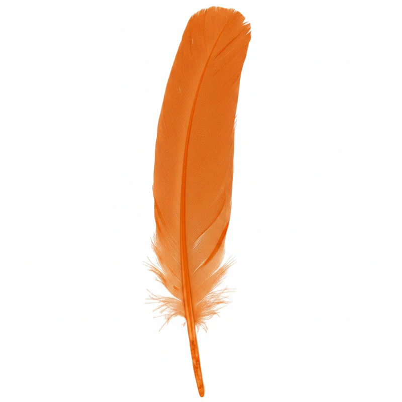 Turkey Quill Feather - Image 5