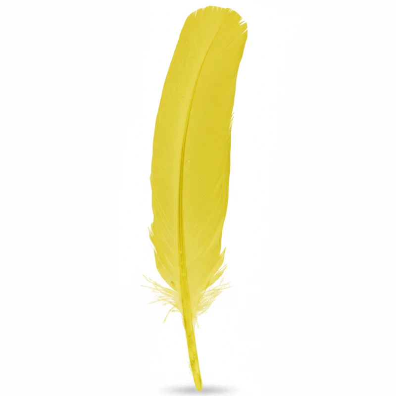 Turkey Quill Feather - Image 6